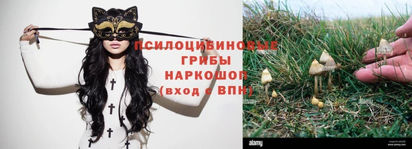 стафф Михайлов