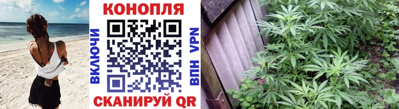 Каннабис Amnesia  где найти   Йошкар-Ола 